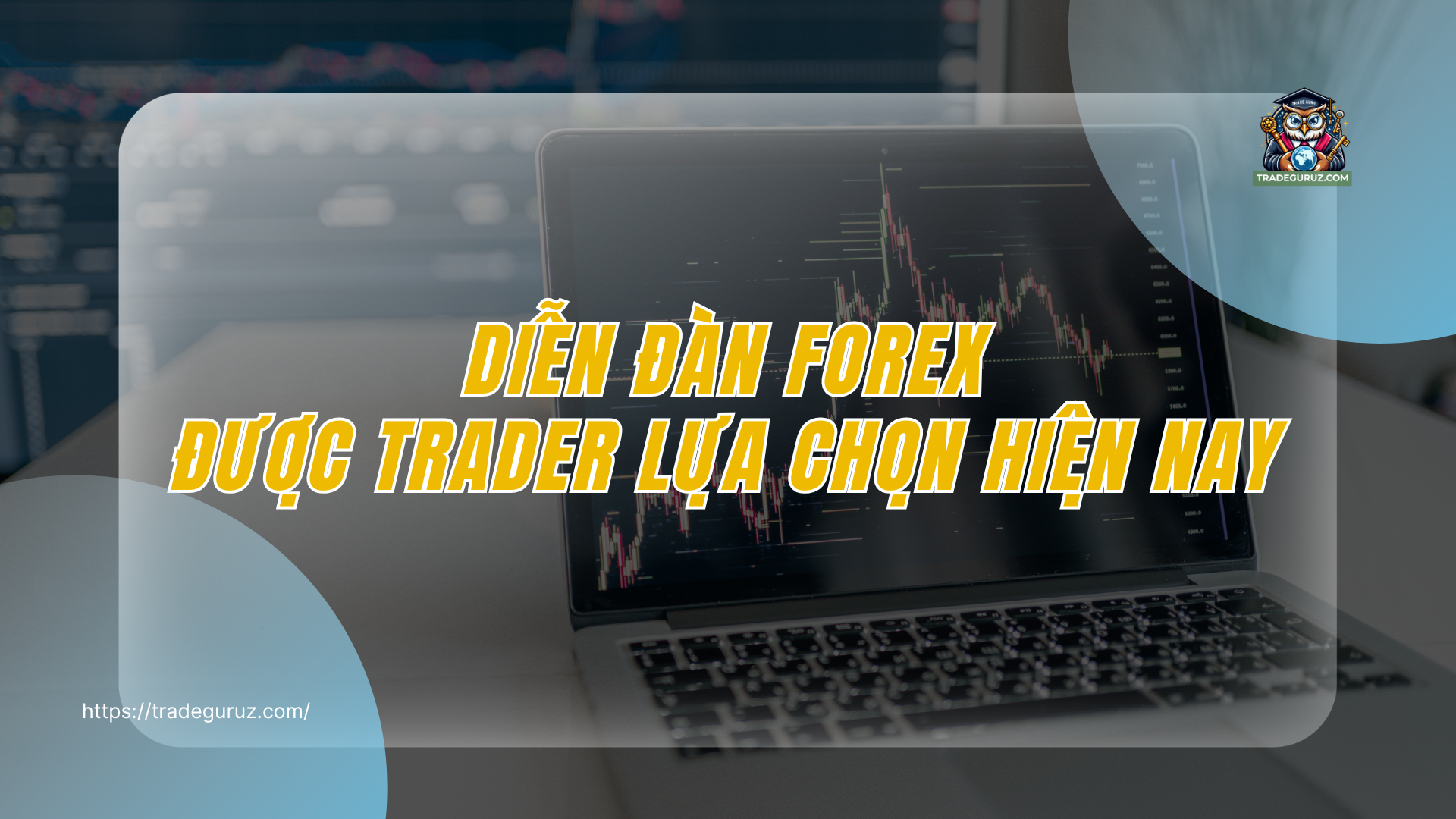 Diễn đàn forex được trader lựa chọn hiện nay